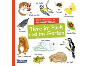 9783551173256 - Mein kleines buntes Bildwörterbuch Tiere im Park und im Garten Pappband