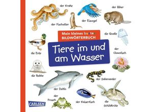 9783551173263 - Mein kleines buntes Bildwörterbuch Tiere im und am Wasser Pappband