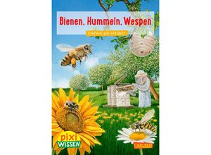 9783551231512 - Bienen Hummeln Wespen - Bärbel Oftring Kartoniert (TB)