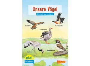 9783551231659 - Pixi Wissen 108 VE 5 Unsere Vögel (5 Exemplare) - Bärbel Oftring Kartoniert (TB)