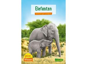 9783551231895 - Pixi Wissen 18 VE 5 Elefanten - Hanna Sörensen