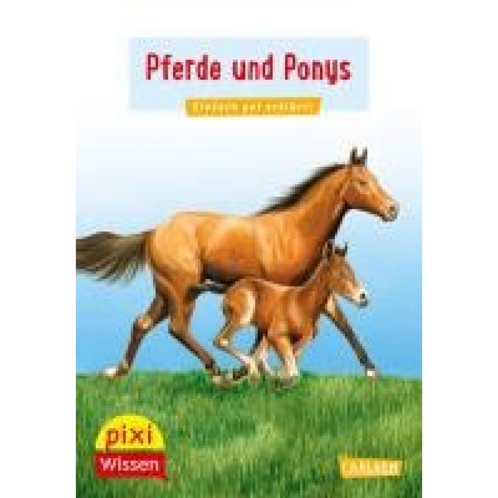 9783551232014 - Sörensen Hanna Pixi Wissen 1 VE 5 Pferde und Ponys
