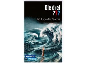 9783551321527 - Die drei Fragezeichen   Die drei ??? Im Auge des Sturms - Kari Erlhoff Taschenbuch