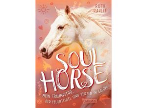 9783551651747 - Mein Traumpferd der Feuerteufel und Herzen im Galopp   Soulhorse Bd3 - Ruth Rahlff Gebunden