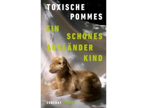 9783552073968 - Ein schönes Ausländerkind - Toxische Pommes Gebunden