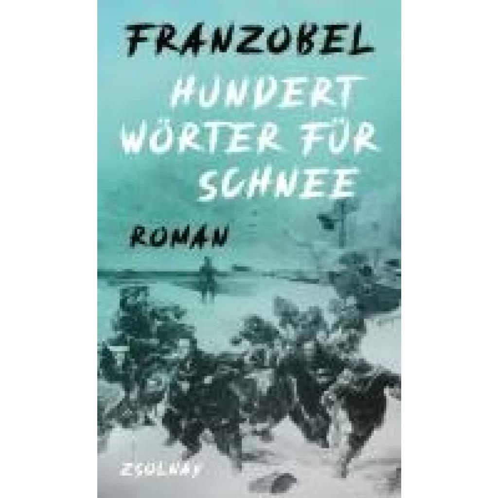 9783552075436 - Franzobel Hundert Wörter für Schnee