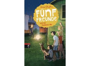 9783570172155 - Enid Blyton - GEBRAUCHT Fünf Freunde und der Zauberer Wu (Einzelbände Band 20) - Preis vom 30082023 050303 h