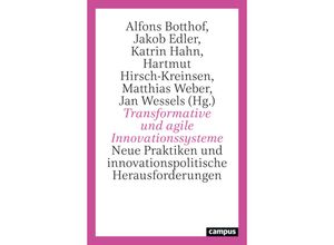 9783593518046 - Transformative und agile Innovationssysteme Kartoniert (TB)