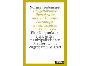 9783593519289 - Un gehorsame Demokratie und umkämpfte Patronagestaatlichkeit in Südosteuropa - Norma Tiedemann Kartoniert (TB)