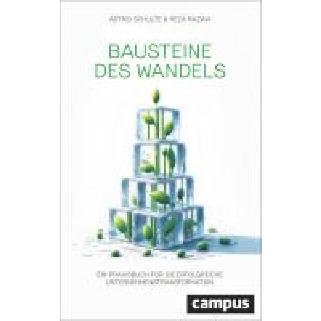 9783593519890 - Schulte Astrid Bausteine des Wandels