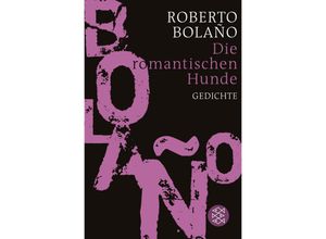 9783596187874 - Die romantischen Hunde - Roberto Bolaño Taschenbuch