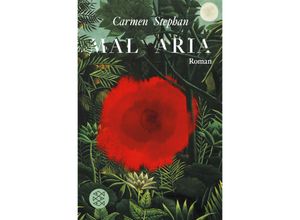 9783596195251 - Mal Aria - Carmen Stephan Kartoniert (TB)