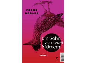 9783608504224 - Ein Sohn von zwei Müttern - Franz Dobler Gebunden