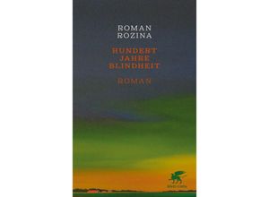 9783608987287 - Hundert Jahre Blindheit - Roman Rozina Gebunden