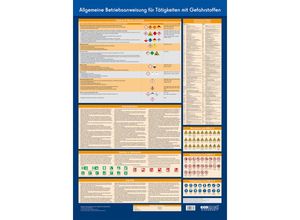 9783609678764 - Wandtafel Allgemeine Betriebsanweisung für Tätigkeiten mit Gefahrstoffen - ecomed-Storck GmbH Poster