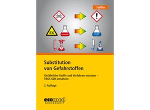 9783609691848 - Substitution von Gefahrstoffen - Birgit Stöffler Kartoniert (TB)