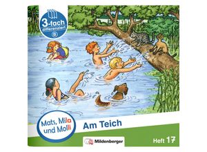 9783619018253 - Mats Mila und Molli - Heft 17 Am Teich - BH17 - Axel Wolber Gabriele Heinisch Geheftet