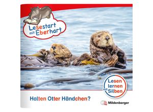 9783619041619 - Lesestart mit Eberhart Halten Otter Händchen? - Stefanie Drecktrah Nicole Brandau Geheftet