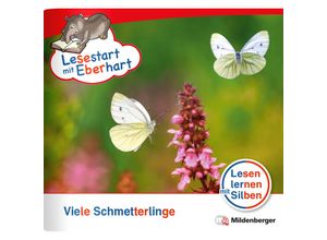 9783619041626 - Lesestart mit Eberhart Viele Schmetterlinge - Stefanie Drecktrah Nicole Brandau Geheftet