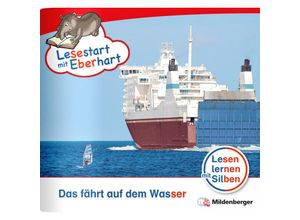 9783619041633 - Lesestart mit Eberhart Das fährt auf dem Wasser - Stefanie Drecktrah Nicole Brandau Geheftet