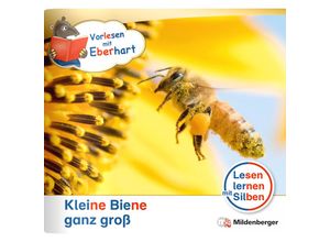9783619044016 - Vorlesen mit Eberhart - Kleine Biene ganz groß - Nachbezug Einzelheft - Nicole Brandau Stefanie Drecktrah Geheftet