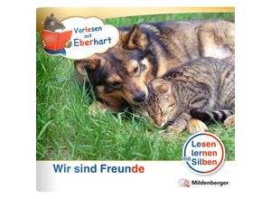 9783619044047 - Vorlesen mit Eberhart - Wir sind Freunde - Nachbezug Einzelheft - Nicole Brandau Stefanie Drecktrah Geheftet