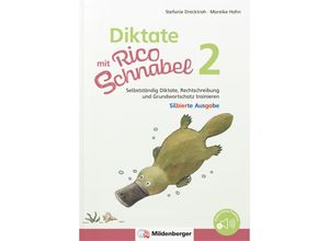 9783619220458 - Diktate mit Rico Schnabel Klasse 2 - silbierte Ausgabe - Stefanie Drecktrah Mareike Hahn Geheftet
