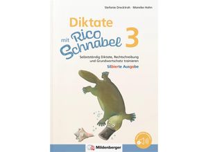 9783619320455 - Rico Schnabel   Diktate mit Rico Schnabel Klasse 3 - silbierte Ausgabe - Stefanie Drecktrah Mareike Hahn Geheftet