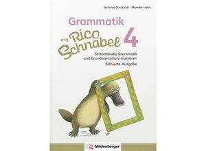 9783619420445 - Grammatik mit Rico Schnabel Klasse 4 - silbierte Ausgabe - Stefanie Drecktrah Mareike Hahn Kartoniert (TB)