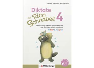 9783619420452 - Rico Schnabel   Diktate mit Rico Schnabel Klasse 4 - silbierte Ausgabe - Stefanie Drecktrah Mareike Hahn Geheftet