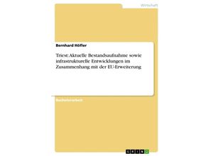 9783638883207 - Triest Aktuelle Bestandsaufnahme sowie infrastrukturelle Entwicklungen im Zusammenhang mit der EU-Erweiterung - Bernhard Höfler Kartoniert (TB)