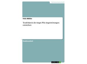 9783638944946 - Teufelskreis der Angst Wie Angststörungen entstehen - Felix Möller Kartoniert (TB)