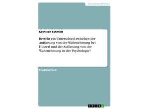 9783638948739 - Besteht ein Unterschied zwischen der Auffassung von der Wahrnehmung bei Husserl und der Auffassung von der Wahrnehmung i - Kathleen Schmidt Kartoniert (TB)