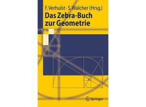 9783642052477 - Springer-Lehrbuch   Das Zebra-Buch zur Geometrie Kartoniert (TB)