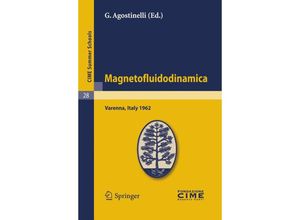 9783642109973 - Magnetofluidodinamica Kartoniert (TB)