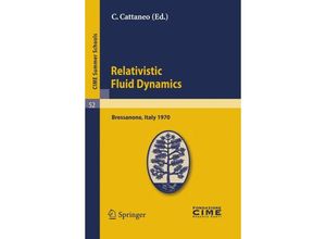 9783642110979 - Relativistic Fluid Dynamics Kartoniert (TB)