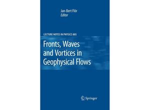 9783642115868 - Fronts Waves and Vortices in Geophysical Flows Kartoniert (TB)