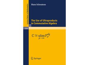 9783642133671 - The Use of Ultraproducts in Commutative Algebra - Hans Schoutens Kartoniert (TB)