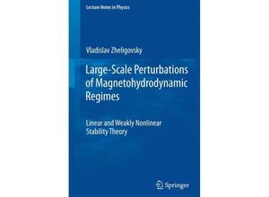 9783642181696 - Large-Scale Perturbations of Magnetohydrodynamic Regimes - Vladislav Zheligovsky Kartoniert (TB)