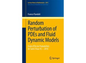 9783642182303 - Random Perturbation of PDEs and Fluid Dynamic Models - Franco Flandoli Kartoniert (TB)