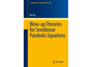 9783642184598 - Blow-up Theories for Semilinear Parabolic Equations - Bei Hu Kartoniert (TB)