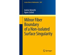 9783642236464 - Milnor Fiber Boundary of a Non-isolated Surface Singularity - András Némethi Ágnes Szilárd Kartoniert (TB)