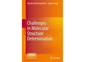 9783642243899 - Challenges in Molecular Structure Determination - Manfred Reichenbächer Jürgen Popp Kartoniert (TB)