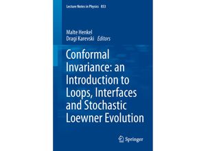 9783642279331 - Conformal Invariance an Introduction to Loops Interfaces and Stochastic Loewner Evolution Kartoniert (TB)