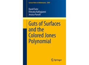 9783642333019 - Guts of Surfaces and the Colored Jones Polynomial - David Futer Efstratia Kalfagianni Jessica Purcell Kartoniert (TB)