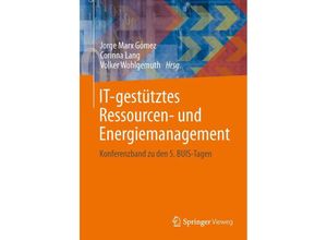 9783642350290 - IT-gestütztes Ressourcen- und Energiemanagement Kartoniert (TB)