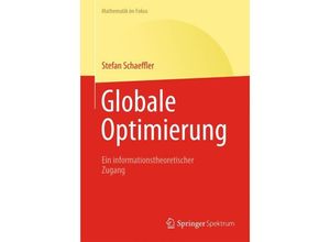 9783642417665 - Mathematik im Fokus   Globale Optimierung - Stefan Schäffler Kartoniert (TB)