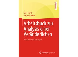 9783642450488 - Arbeitsbuch zur Analysis einer Veränderlichen - Uwe Storch Hartmut Wiebe Kartoniert (TB)