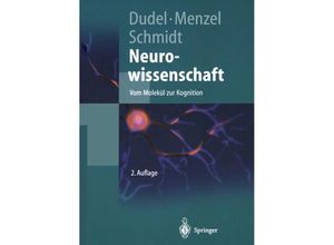 9783642625343 - Springer-Lehrbuch   Neurowissenschaft Kartoniert (TB)