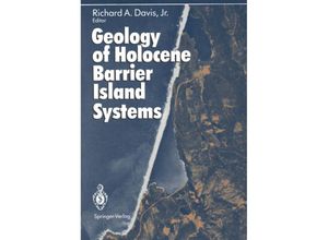 9783642783623 - Geology of Holocene Barrier Island Systems Kartoniert (TB)